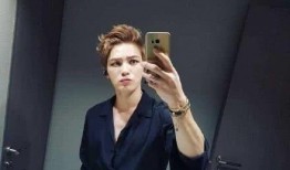 日本娱乐圈爆料金在中,揭秘明星背后的真相