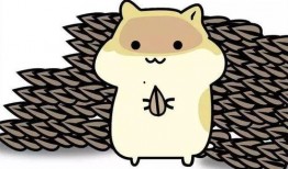 娱乐圈吃瓜爆料pdf知乎小霞,揭秘知乎小霞背后的故事