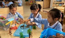 珠海幼儿园爆料事件最新,惊人内幕揭露幼儿教育乱象